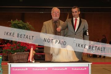 124188 _tl_02_IMG_9293.JPG