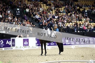 182194_avh_06_3376.JPG