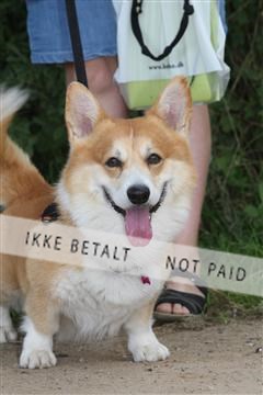 130370_se_02_IMG_5535.JPG