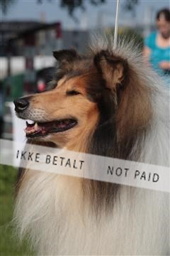 6068_ma_06_IMG_3528.JPG