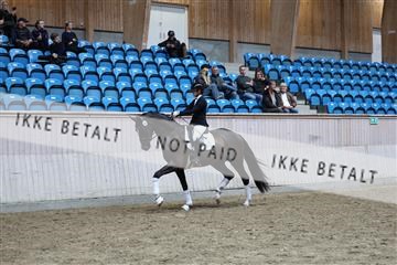 181887_mtp_05_R62_9811.JPG