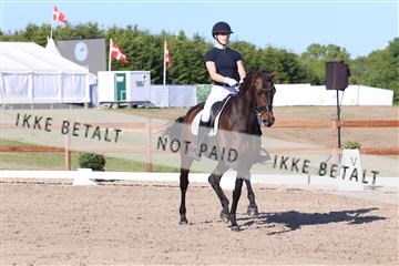 181449_bc_01R62_6293.JPG