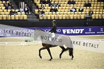 182194_kbb_02_Z098917.JPG