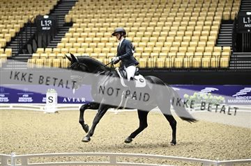 182194_kbb_02_Z098129.JPG