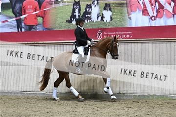 182241_kbb_01_Z093725.JPG