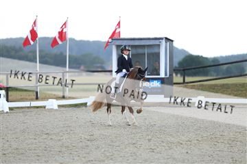 181894_mtp_05_R62_4241.JPG
