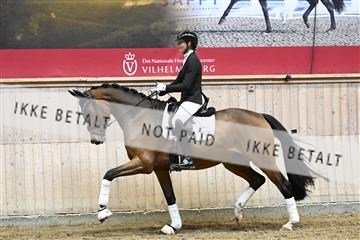 182241_kbb_01_Z094671.JPG