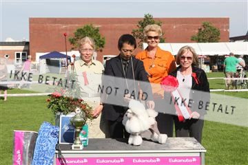 130370_se_02_IMG_6706.JPG