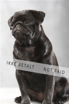 129608_le_ 01_0178.JPG