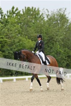 139835_sg_01_IMG_8250.JPG
