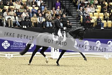 182194_kbb_03_Z092262.JPG