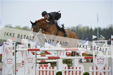 139644_abo_06__AB10108.JPG