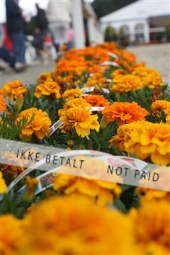 5350_sme _03_IMG_4634.JPG