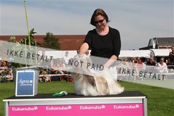 130370_se_02_IMG_6372.JPG