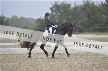 169624_kbb_01__KBB7973.JPG