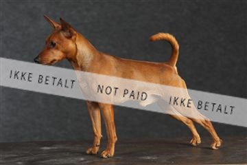 132082_le_ 01_IMG_0216.JPG