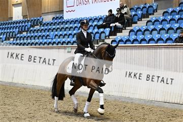 182241_kbb_01_Z095426.JPG