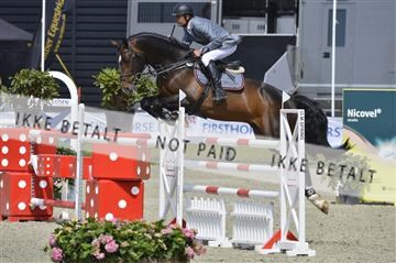 139644_abo_01__AB14053.JPG