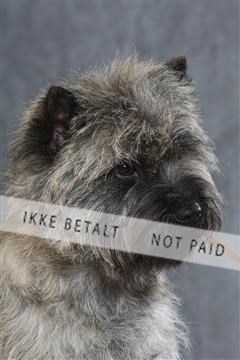 130054_le_ 03_0057.JPG