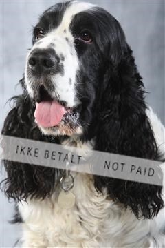 129608_le_ 02_0229.JPG