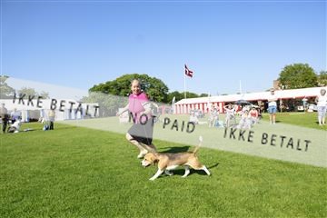 181564_kar_01__62_8288.JPG