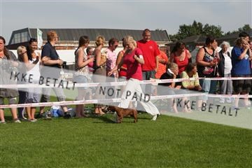 130370_se_02_IMG_6589.JPG