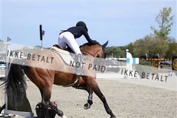 181436_avh_02_4045.JPG