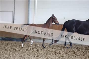 181756_mtp_03_R62_2712.JPG