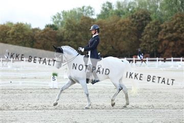 181923_mtp_04_R62_9109.JPG