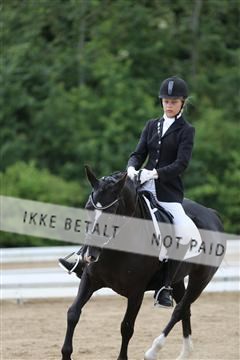 156196_nn_01_IMG_6356.JPG