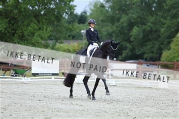 181923_mtp_01_R62_6522.JPG