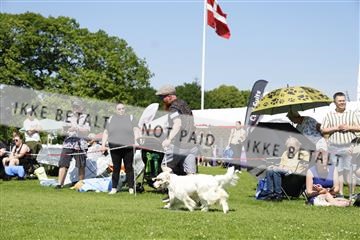 181564_kar_01__62_7996.JPG