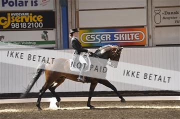 139422_bc_07__BC26653.JPG