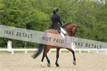 139835_sg_01_IMG_8271.JPG