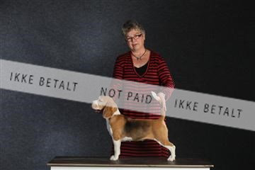 132082_le_ 01_IMG_1547.JPG