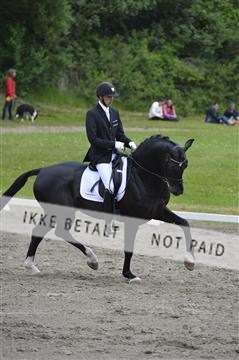 140040_abo_01__AB16771.JPG