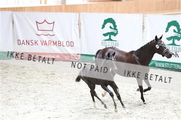 175058_mlm_01_R62_6730.JPG