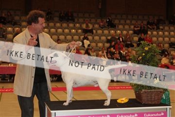 124188 _tl_02_IMG_9644.JPG