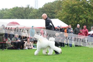 182009_rin_01_R62_8941.JPG