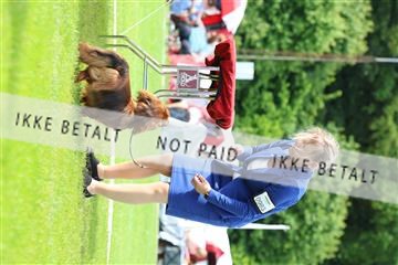 181564_rin_02_R62_1278.JPG