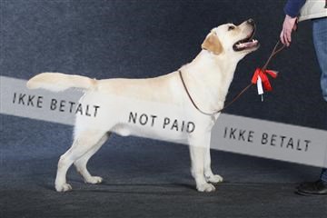 132082_le_ 01_IMG_1034.JPG