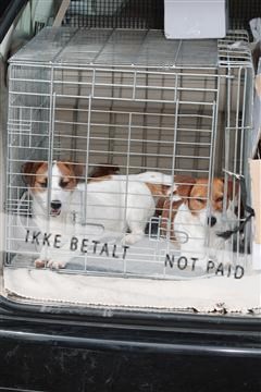 124188 _tl_02_IMG_9434.JPG