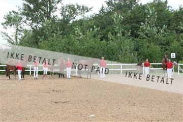 125406_TBJ_01_IMG_1172.JPG