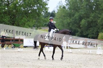 181923_mtp_01_R62_6354.JPG