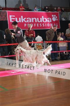 6068_ma_05_IMG_5846.JPG