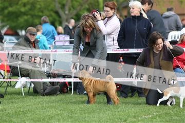 134871_ms_02_IMG_3446.JPG