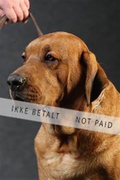 132082_le_ 01_IMG_0144.JPG