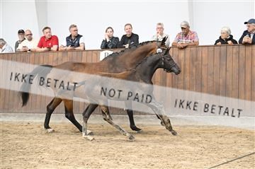 181739_kbb_01_Z091380.JPG