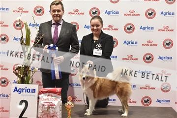 164856_bkn_01__BKN7546.JPG