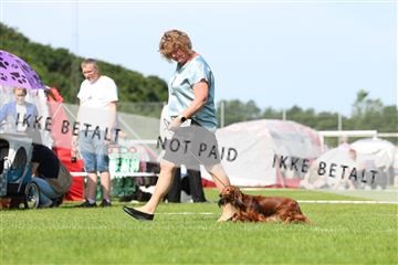 181564_rin_02_R62_1206.JPG